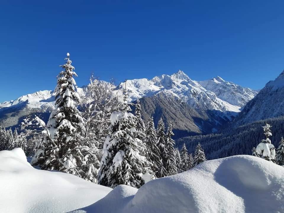 Superbe Studio Aux 7 Laux La Ferrière Extérieur photo