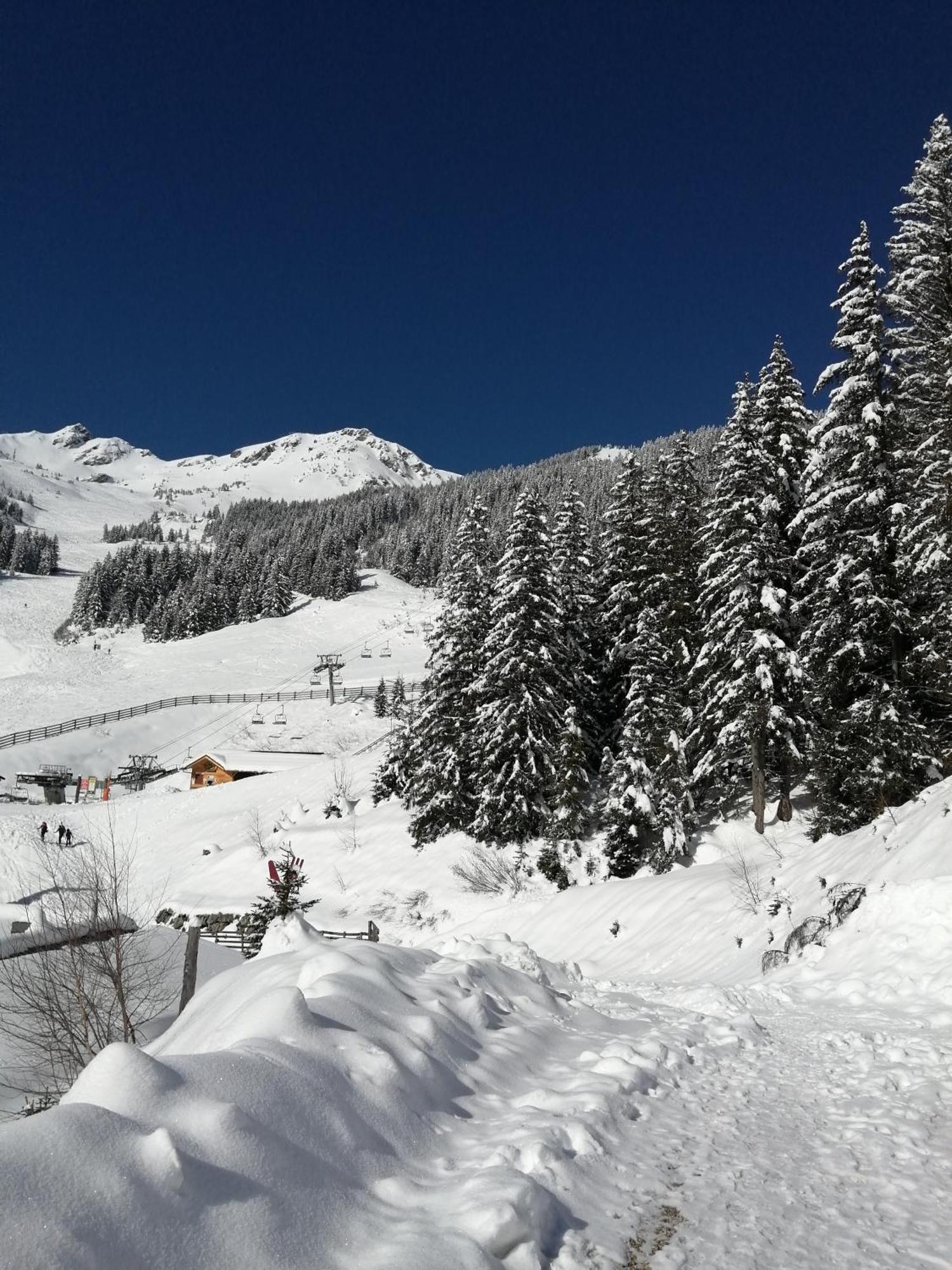 Superbe Studio Aux 7 Laux La Ferrière Extérieur photo