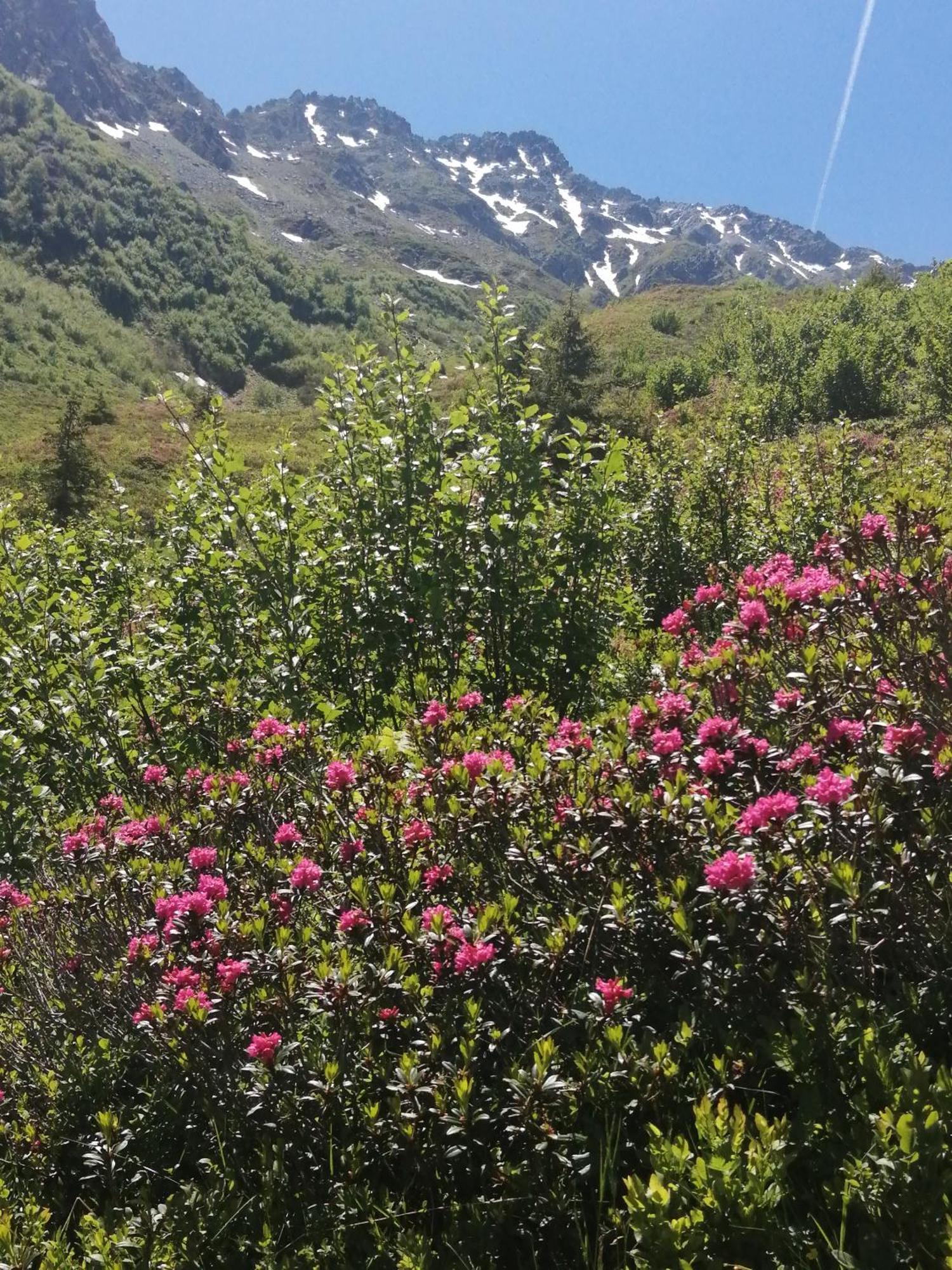 Superbe Studio Aux 7 Laux La Ferrière Extérieur photo